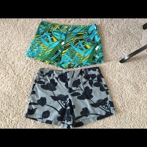 Ann Taylor Shorts Lot Bundle